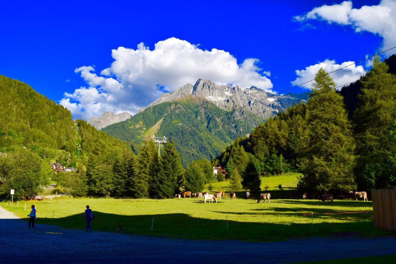 Hotel Garni Pegra Ponte Di Legno Dış mekan fotoğraf